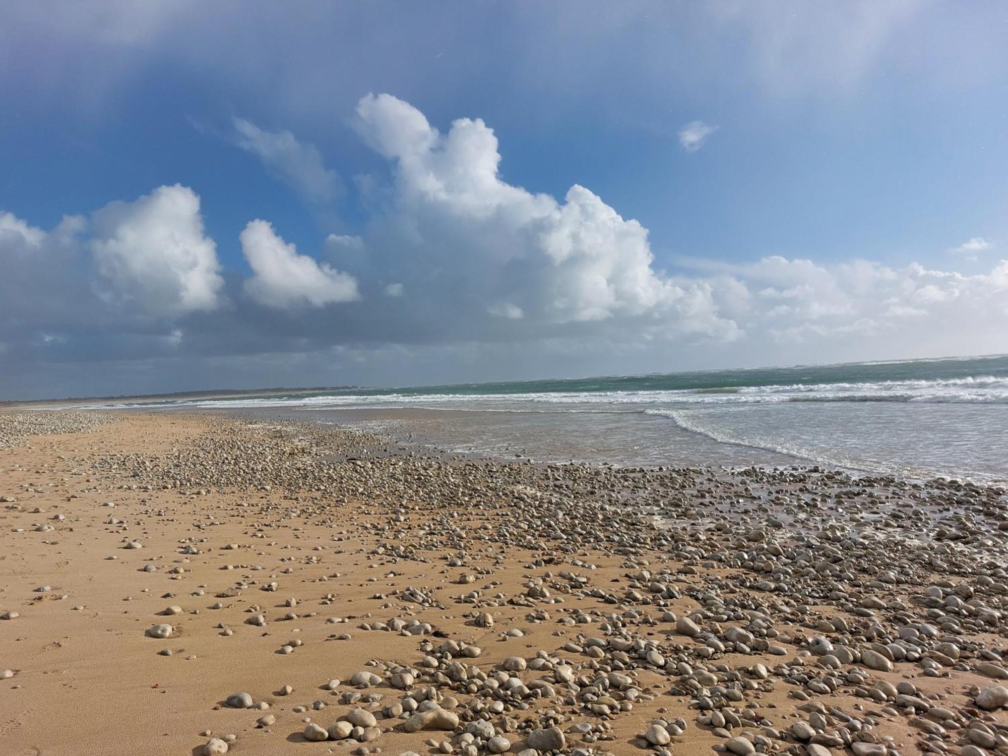 סן-ג'ורג'-דולרו Maison A 8 Min A Pied De La Plage Avec Jardin Clos Et Ombrage מראה חיצוני תמונה